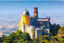 Portuguese Translation