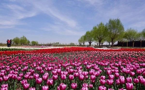 10th China Flower Expo