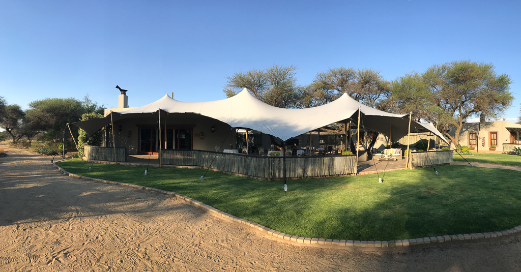 WHO to assist Africa in monitoring variants