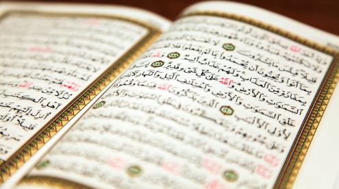 Arabic language translation