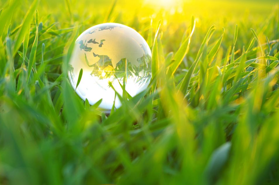 environmental translations environmental translations