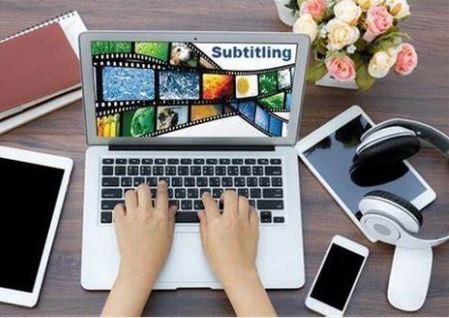 What is multi-language subtitle services?