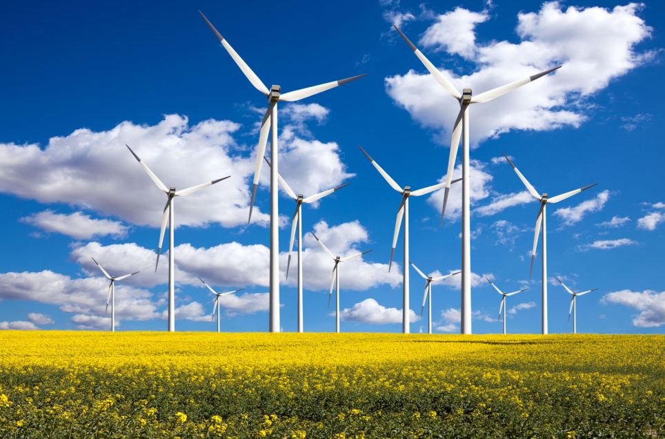 Green philosophy urged in BRI development